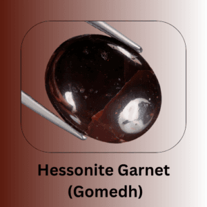 Hessonite Garnet gemstone (Gomedh), linked to Rahu in Vedic astrology, offering protection and clarity.