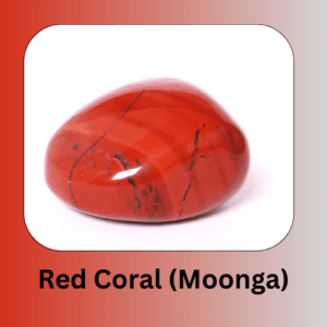 Red Coral gemstone (Moonga), representing Mars in Vedic astrology, known for courage and physical strength.